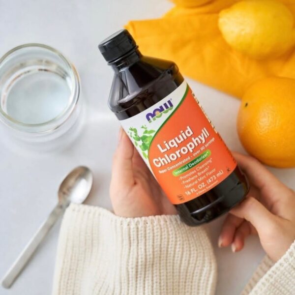 مایع کلروفیل ناو اصل خارجی 473 میل NOW Chlorophyll